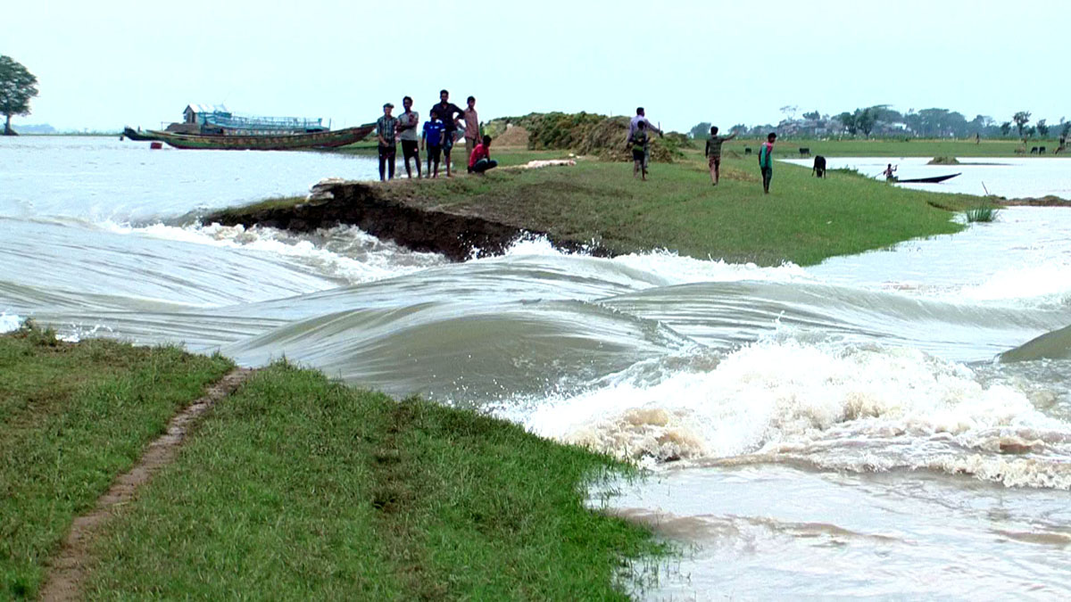 সুনামগঞ্জের হাওরে এখন শুধুই কান্না। শেষ ভরসা শনির হাওরের ফসলও তলিয়ে গেছে পানিতে। 