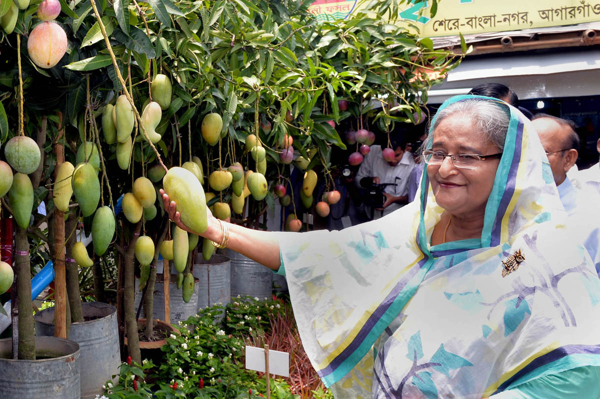 জাতীয় বৃক্ষরোপন অভিযান উদ্বোধনের পর বৃক্ষমেলা পরিদর্শন করেন প্রধানমন্ত্রী শেখ হাসিনা। 