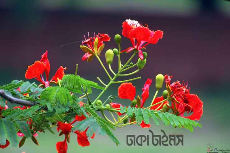 Bir yigit porno video korish uchun sevgilisini sotadi.