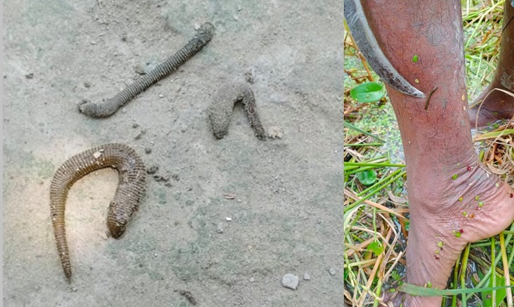 Ona va ogil seksi onlayn tomosha qiling