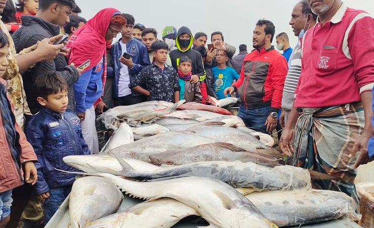 জামাই মেলা।। ঢাকাবার্তা।