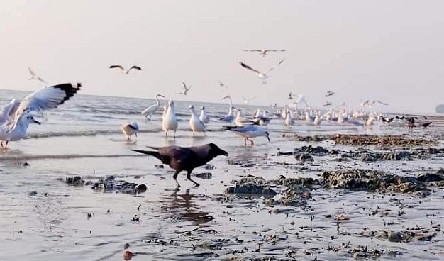 Qizlar bilan ogzaki jinsiy aloqa