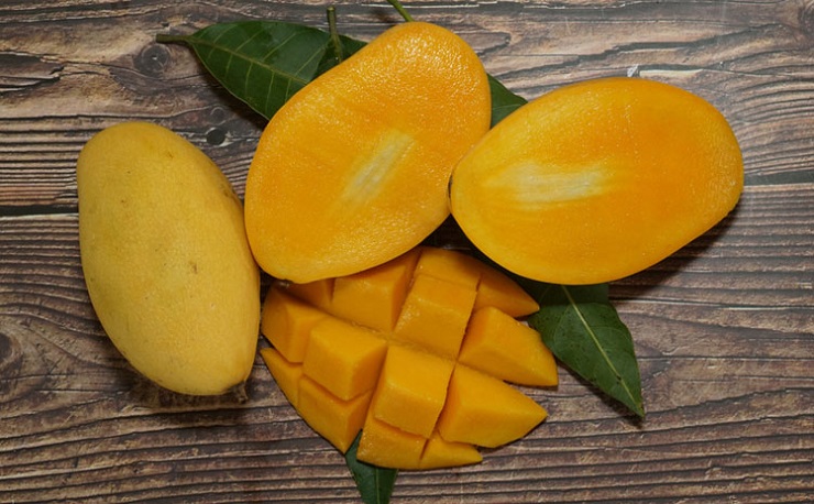 Porno filmlarda rol oynagan qoshiqchi Semiz ayollar ishtirokidagi ruscha porno