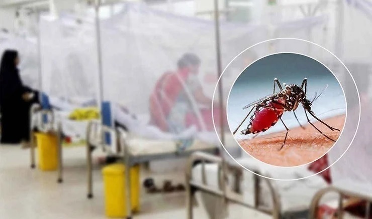 7 personas más murieron por dengue, 1138 infectados