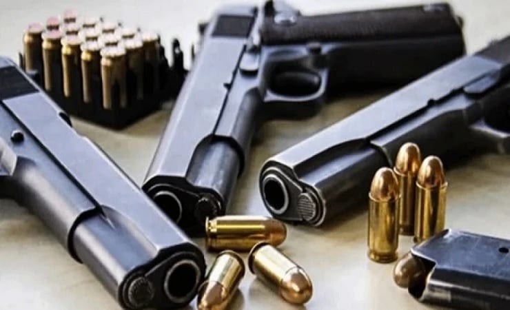 Formación de comité para devolver armas legales, aquellas que no las reciban