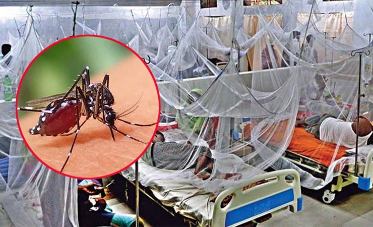 Dengue en su peor forma: Cinco bebidas que curan esta enfermedad como por arte de magia