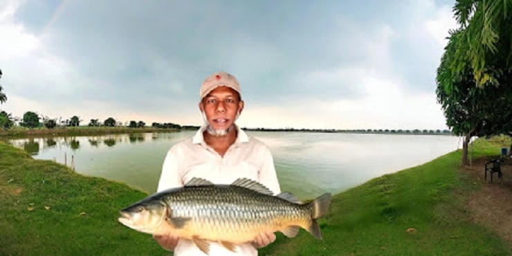 ঝিনাইদহে মাছ চাষে সফল উদ্যোক্তা আলিম