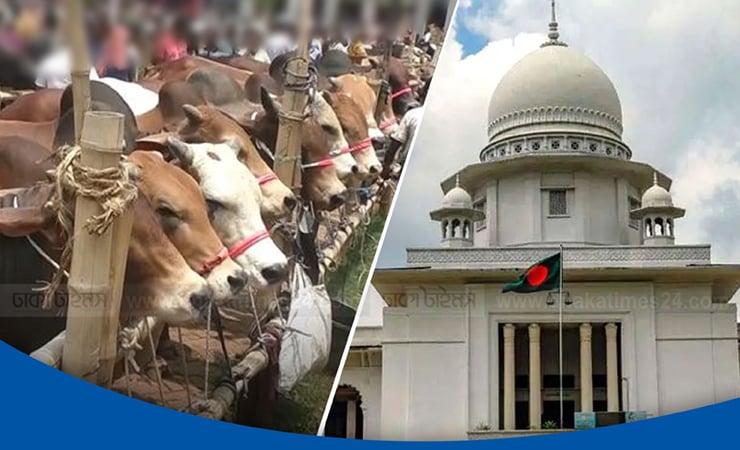 আফতাবনগরে কোরবানির পশুর হাট বসানো যাবে না: হাইকোর্ট