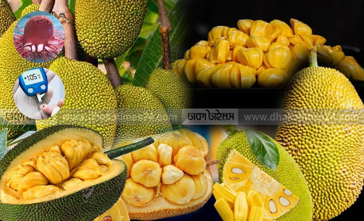 ক্যানসার ও ডায়াবেটিসের ঝুঁকি কমে সুপারফুড কাঁঠাল খেলে