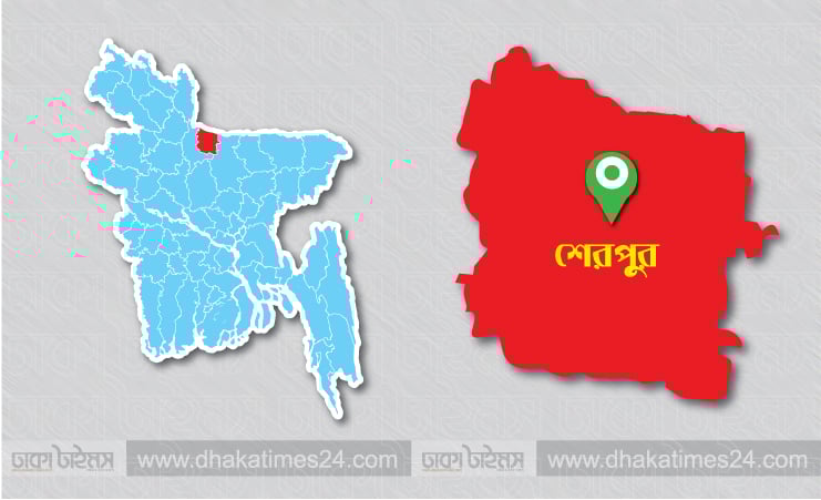 শেরপুরে বজ্রপাতে প্রাণ গেল যুবকের 