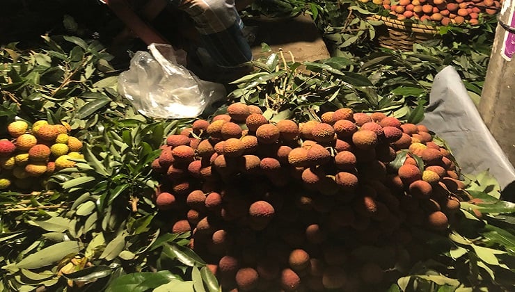 দিনাজপুরে জমে উঠেছে লিচুর বাজার