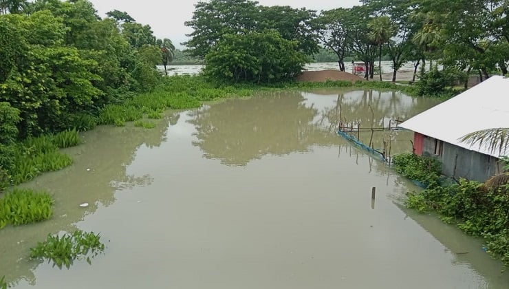জোয়ার ও অতিবর্ষণে পিরোজপুরের নিম্নাঞ্চল প্লাবিত