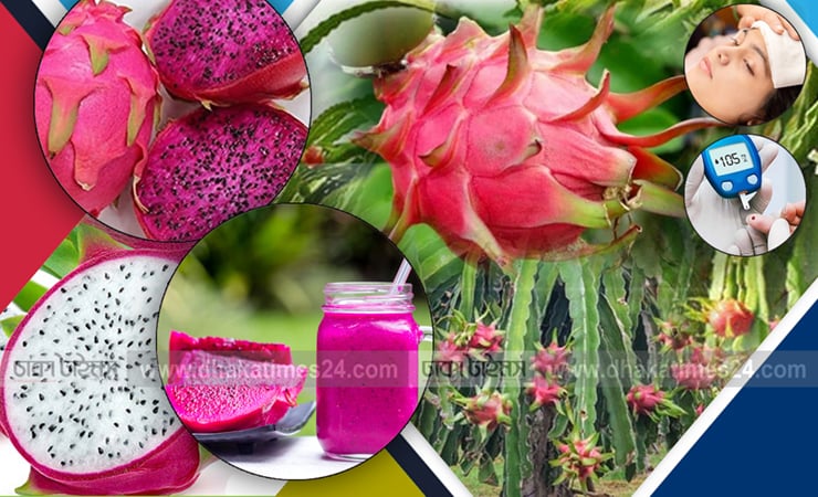 ডেঙ্গু জ্বর ও ডায়াবেটিস নিয়ন্ত্রণের দাওয়াই ভেষজ ড্রাগন ফল