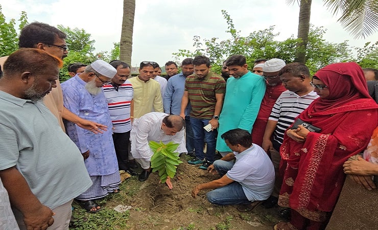 জুবাইদা রহমানের জন্মদিন উপলক্ষে রূপগঞ্জে বৃক্ষরোপণ  