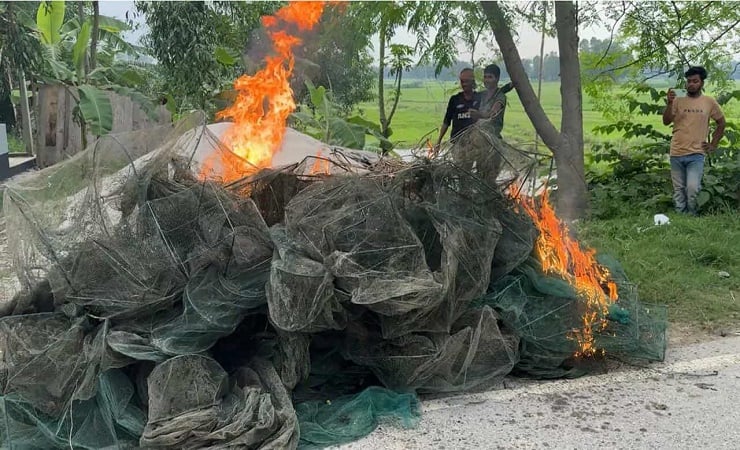 মির্জাপুরে অবৈধ চায়না দুয়ারি জাল পুড়িয়ে ধ্বংস