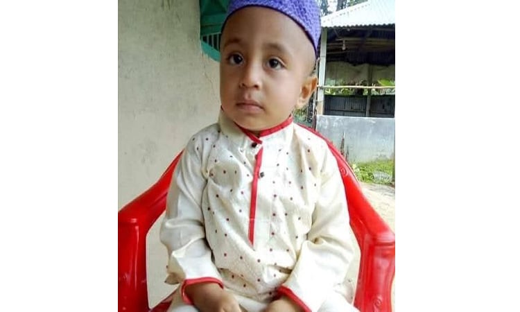 ভালুকায় পুকুরে ডুবে শিশুর মৃত্যু