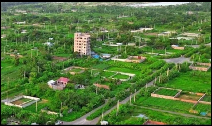 শেখ হাসিনার গাড়ির চালকরাও নেন প্লট বরাদ্দ