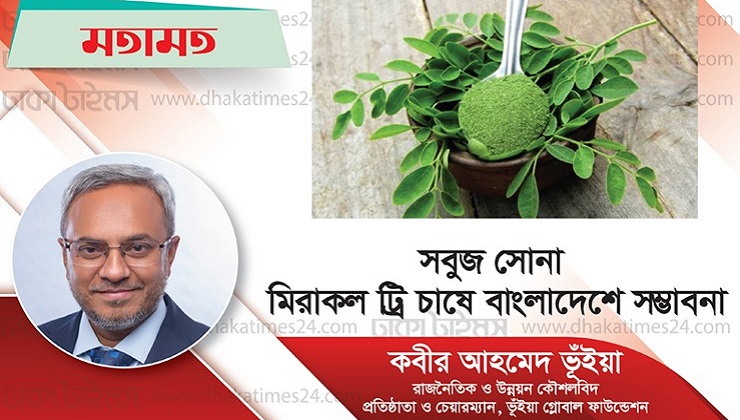 ‘সবুজ সোনা’- মিরাকল ট্রি মরিঙ্গা চাষে বাংলাদেশের সম্ভাবনা