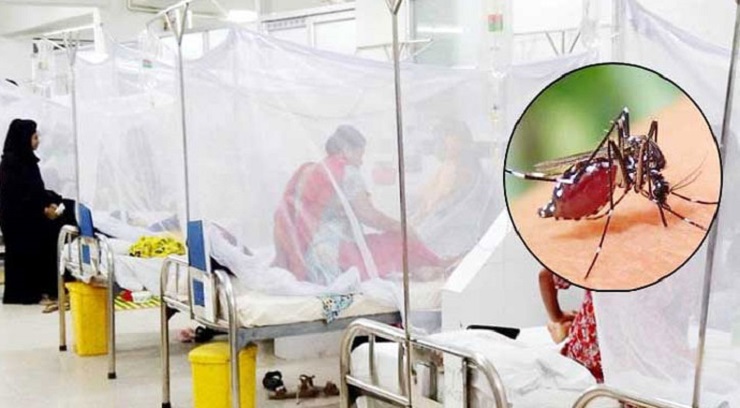 ডেঙ্গু আক্রান্ত হয়ে ৬ জনের মৃত্যু, হাসপাতালে ৫৮৬ জন