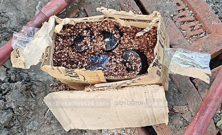 মিছিলের প্রস্তুতির সময় ফার্মগেটে প্রায় অর্ধশত আ.লীগ নেতাকর্মী আটক, বিপুল ককটেল উদ্ধার