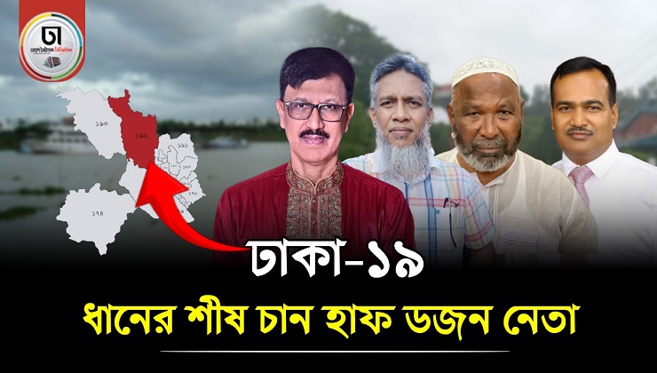 ঢাকা-১৯: বিএনপির মনোনয়ন মানেই জয়, ধানের শিষ পেতে লড়াই তুঙ্গে