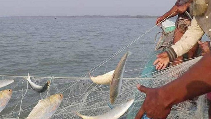 আজ মধ্যরাত থেকে ইলিশ ধরায় নিষেধাজ্ঞা