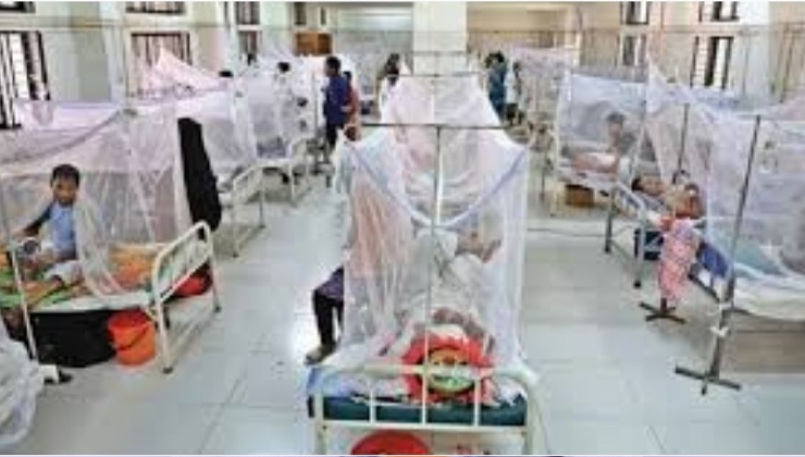 ডেঙ্গুতে আরও ৫ জনের মৃত্যু, হাসপাতালে ভর্তি ৯৫৩