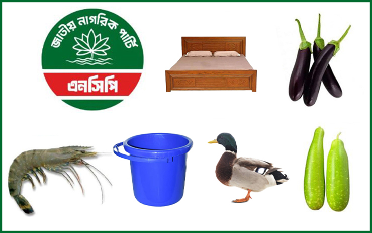 পছন্দের প্রতীক ‘শাপলা’ পাচ্ছে না এনসিপি, ৫০ বিকল্প প্রতীক দিয়েছে ইসি