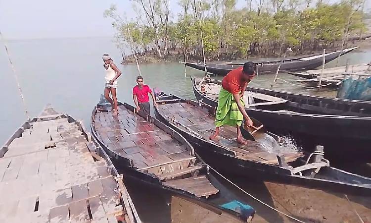 প্রজনন মৌসুম শেষে ২ মাস পর কাঁকড়া ধরতে সুন্দরবনে ফিরল জেলেরা