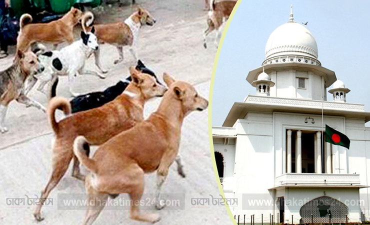 বেওয়ারিশ কুকুর অপসারণে রুল, বিশেষজ্ঞ কমিটি গঠনের নির্দেশ হাইকোর্টের