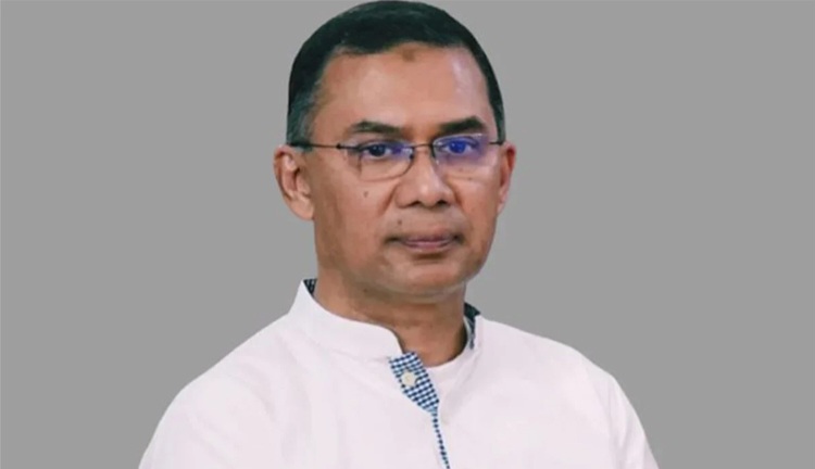 বৃহস্পতিবার জাতীয় বৃক্ষরোপণ অভিযান ও বৃক্ষমেলা উদ্বোধন করবেন প্রধানমন্ত্রী