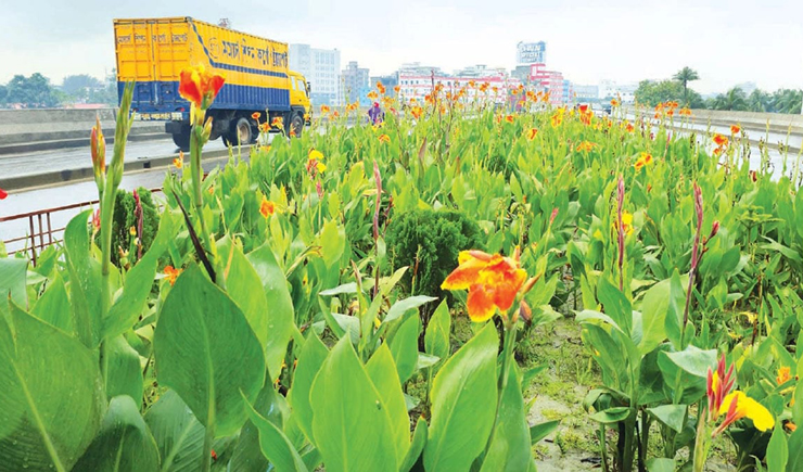 টঙ্গী উড়ালসড়কে ময়লার স্তূপ এখন নয়নাভিরাম ফুলের বাগান, জ্বলে উঠছে সড়কবাতি