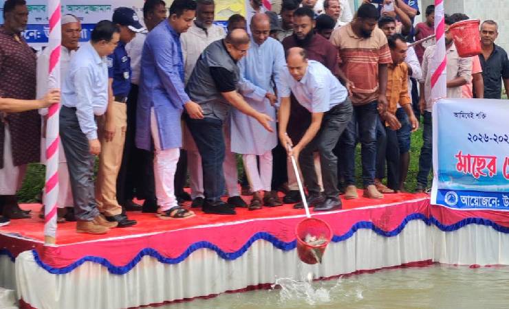 শৈলকুপায় ১০ জলাশয়ে মাছের পোনা অবমুক্ত