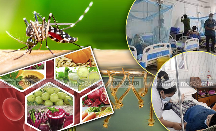 চোখ রাঙাচ্ছে ডেঙ্গু জ্বর, সুরক্ষায় জরুরি সতর্কতা