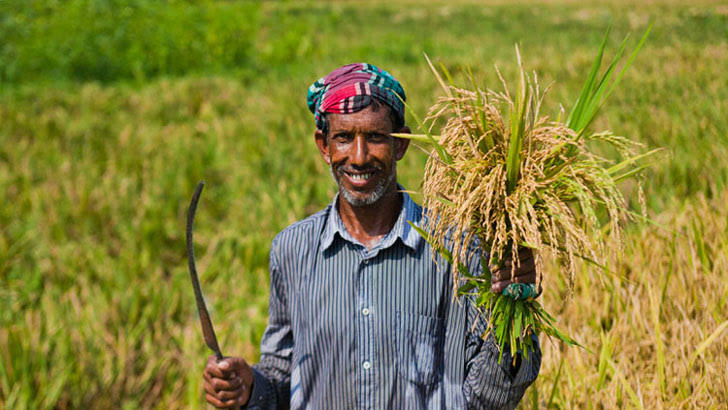 ১৪ লাখ কৃষকের ঋণ সুদসহ মওকুফ