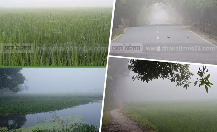 উত্তরাঞ্চলে শরতেই প্রকৃতিতে শীতের আগমনী বার্তা