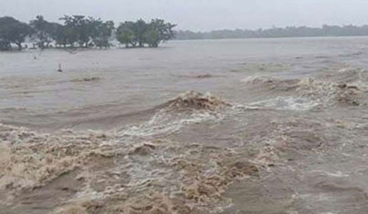 বাড়ছে পদ্মা নদীর পানি, চরাঞ্চলে বন্যার শঙ্কা