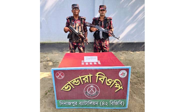 ঠাকুরগাঁও ও দিনাজপুর সীমান্তে ইয়াবা ও ট্যাপেন্টাডল উদ্ধার, আটক ১