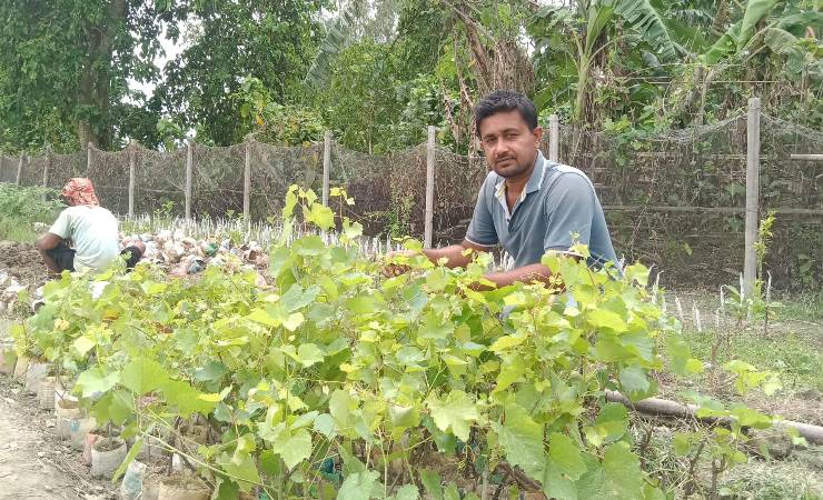 মিশ্র ফলচাষে ভাগ্য বদল নাহিদের
 