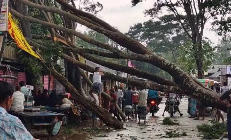 হঠাৎ ঝড়ে লন্ডভন্ড জামালপুর, বন্ধ সড়ক যোগাযোগ