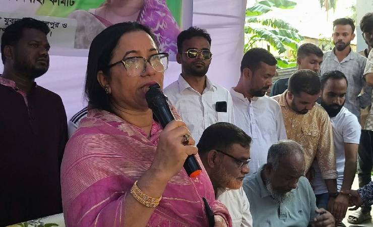 গাছ লাগানোর বদলে আগের গাছগুলো কেটে সাবাড় করেছে বিগত ফ্যাসিস্ট সরকার: নিলোফার চৌধুরী মনি