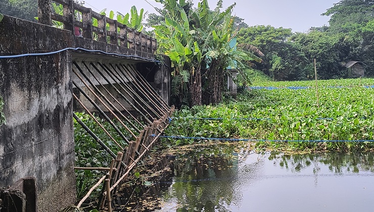 ব্রিজের মুখ ভরাট করে কাশিয়ানীতে সরকারি জমি দখল