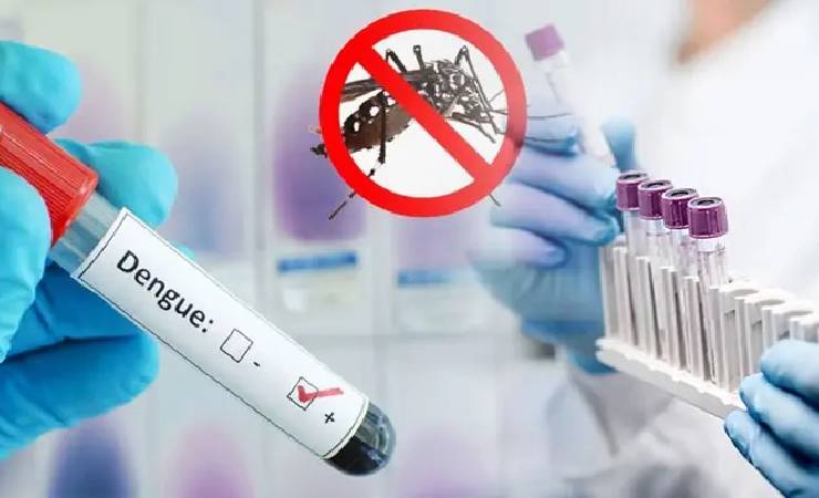 খুলনায় ২৪ ঘণ্টায় ডেঙ্গুতে ৬ জনের মৃত্যু